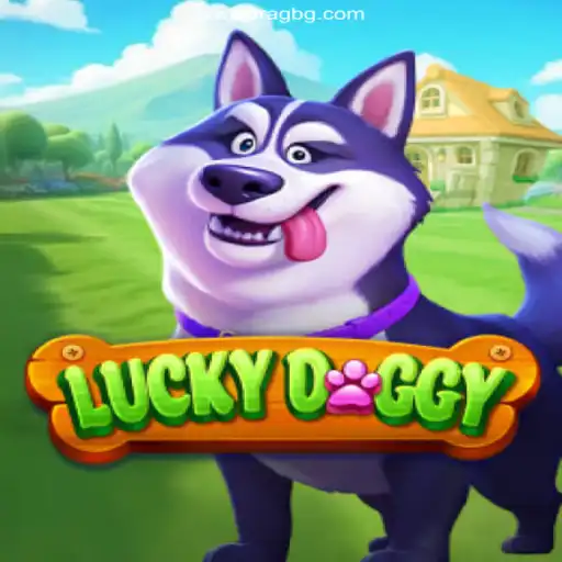 LuckyDoggy: Exploring Brazil's Premier Betting Platform Experience