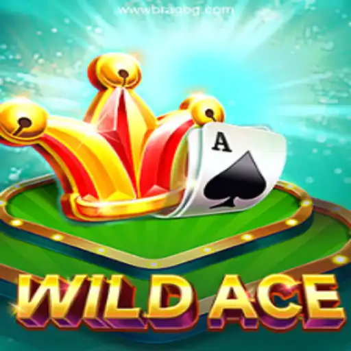 Exploring WildAce: The Exciting World of the Top Brazilian Betting Platform